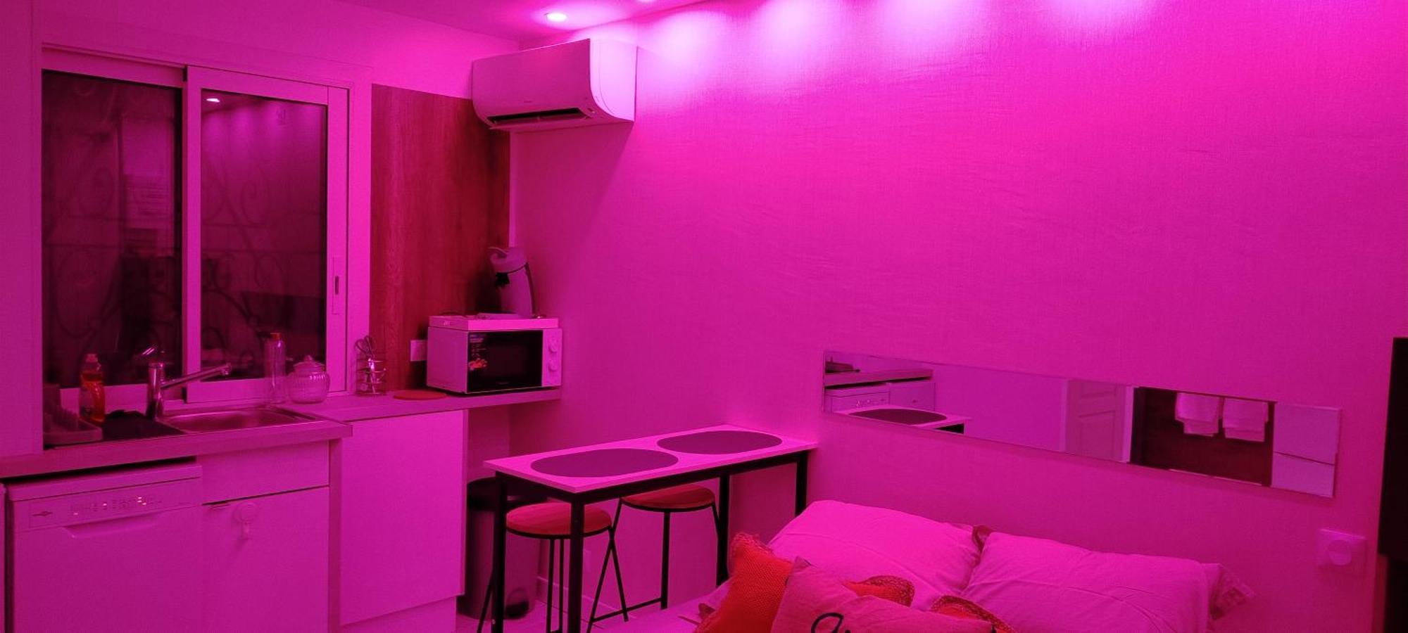 Studio Cosy Balneo Avec Jardin Le Barcarès Eksteriør bilde